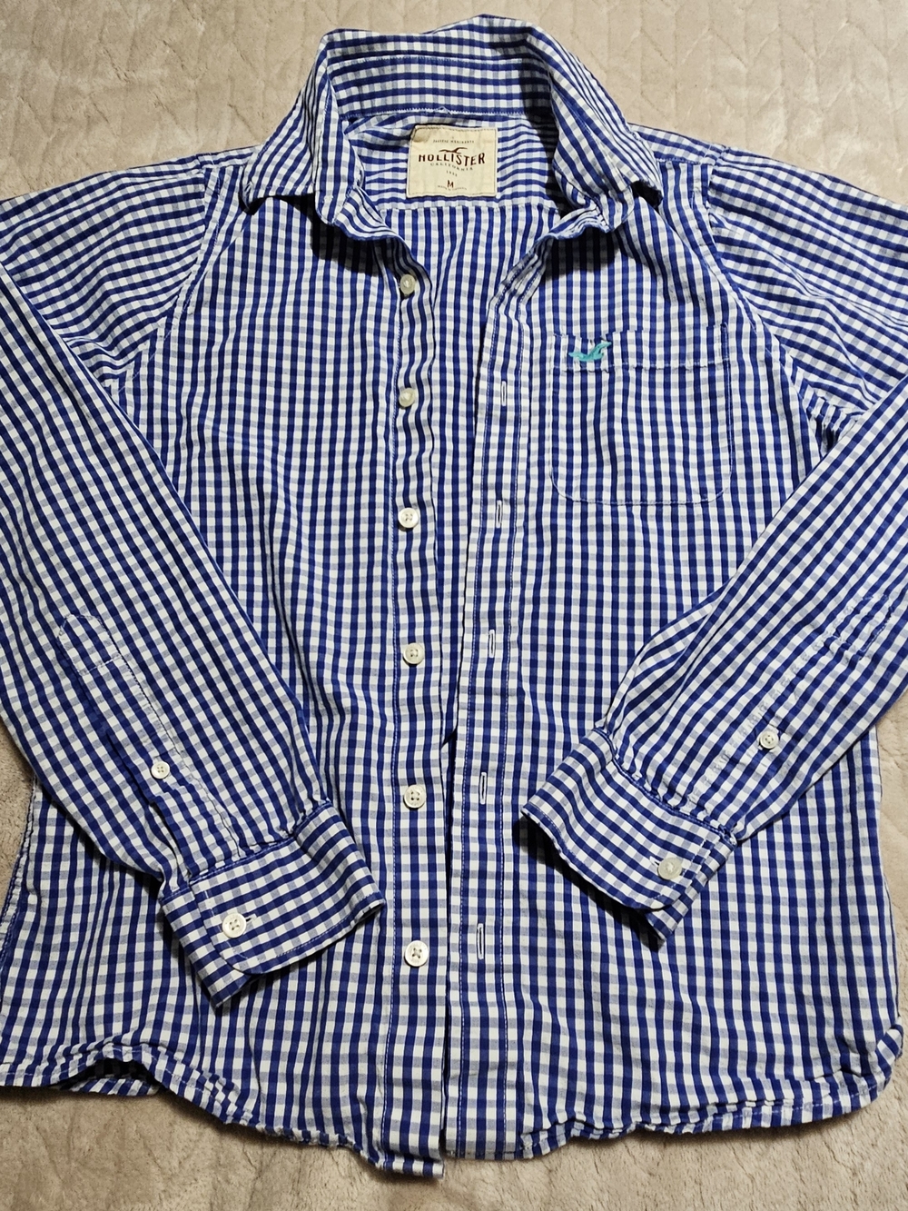 Hollister Men’s Blue & White Check Button-Down Shirt